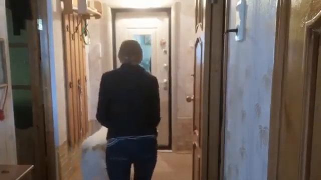 Тест №30. САО охрана квартиры. смотреть онлайн