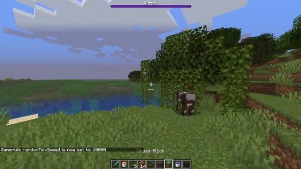 /gamerule randomTickSpeed 10000 (on a bad pc) | Minecraft
