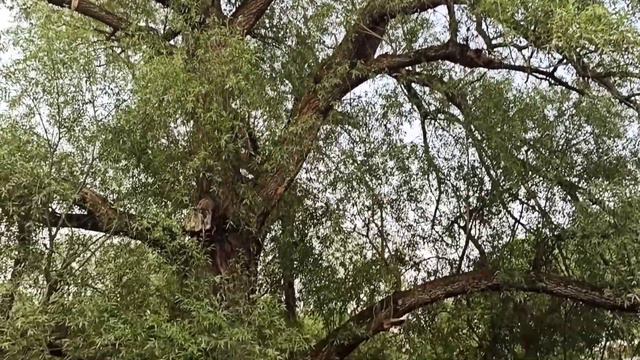 Поездка в Брест смотреть онлайн