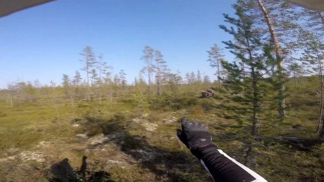 Прогулки по лесу полезны! Особенно на мотоцикле. смотреть онлайн