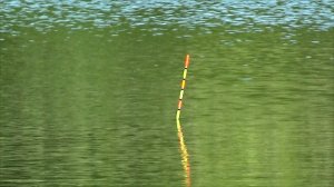 Рыбалка на карася на донную херабуну(!)