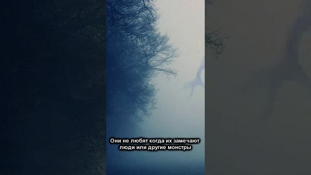 Кто такие Ночные люди? | Night People | Страшилки #shorts смотреть онлайн