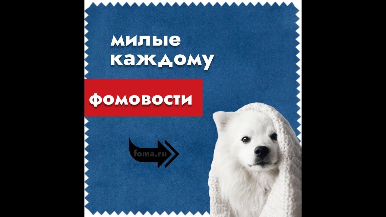 Почтальон на вездеходе, алтайские великаны и другие отличные сюжеты этой недели смотреть онлайн