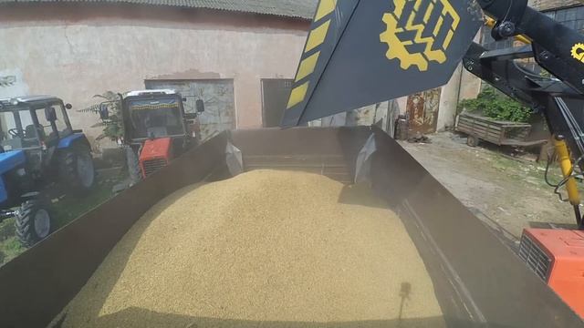 Продаю Ячмень! Цена копеешная! смотреть онлайн