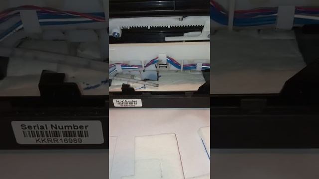 как правильно расположить заменить части абсорбера(памперса) Canon G2400