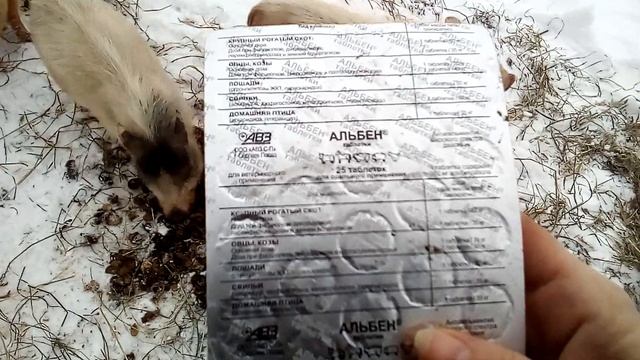 Профилактика и лечение свиней от глистов. смотреть онлайн