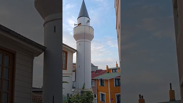 İstanbul#istanbul #turkey #türkiye #home #keşfet #cami#mosque#funny #video #gezilecekyerler #travel смотреть онлайн