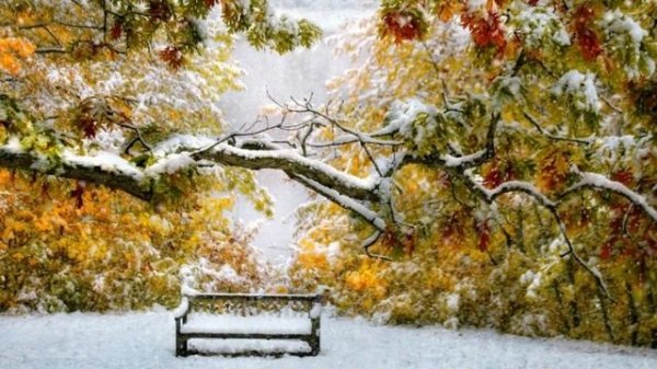 "Первый снег". Пробуждающая, активирующая музыка высоких вибраций В. Моцардо.