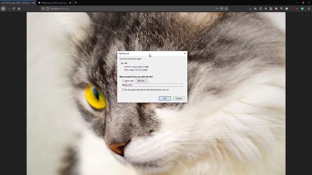 How to Return Files in FastAPI смотреть онлайн
