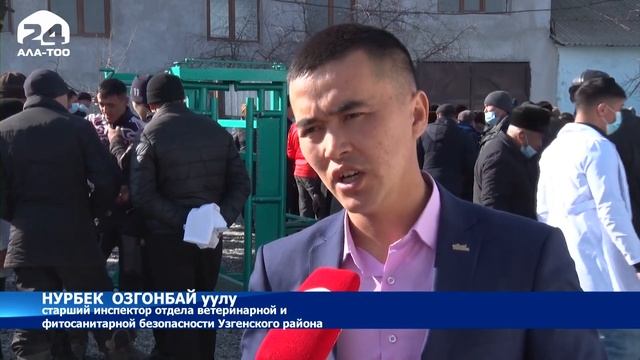 В Оше усилены требования по учёту домашнего скота