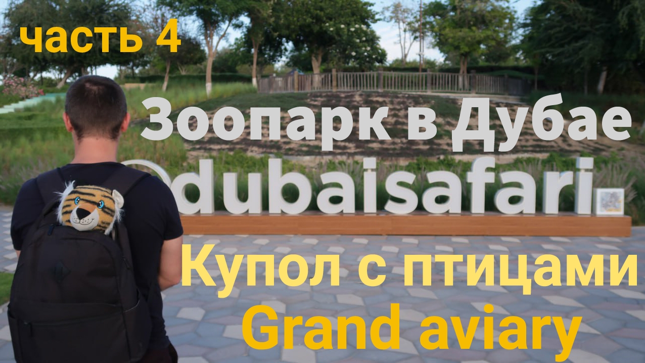 Зоопарк в Дубае. Часть 4. Вольер с птицами Grand aviary. Dubai Safari Park смотреть онлайн