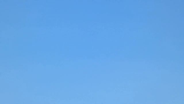 Grumman F7F Tigercat - "Here Kitty Kitty" Flight Over Brunnsjön Hedemora смотреть онлайн