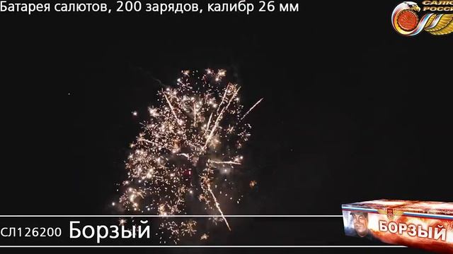 СЛ126200 Борзый - фейерверки и салюты в Новосибирске в КОЛОРЛОН ВТД смотреть онлайн