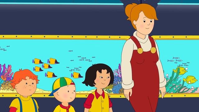 Caillou und das Wasserrennen | Caillou auf Deutsch смотреть онлайн
