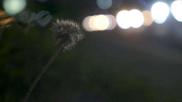 Sony NEX-5N Night Video Sample смотреть онлайн