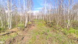 ЗАПОВЕДНАЯ МЕЩЕРА | ЧАСТЬ 2