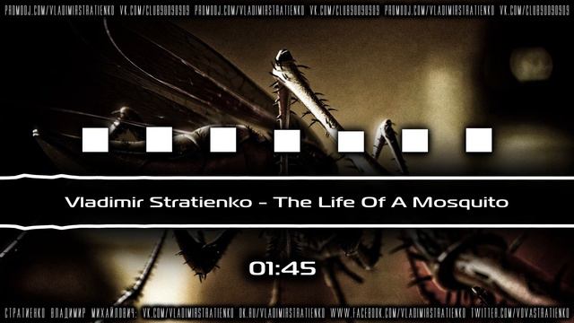 Vladimir Stratienko - The Life Of A Mosquito | Владимир Стратиенко - Жизнь Комара смотреть онлайн