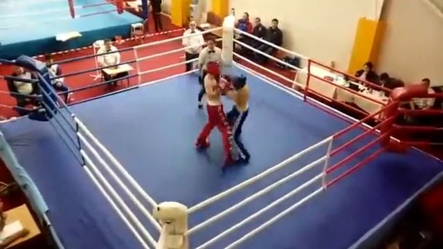 Первенство России по кикбоксингу в разделе Фулл контакт 2017(2) смотреть онлайн