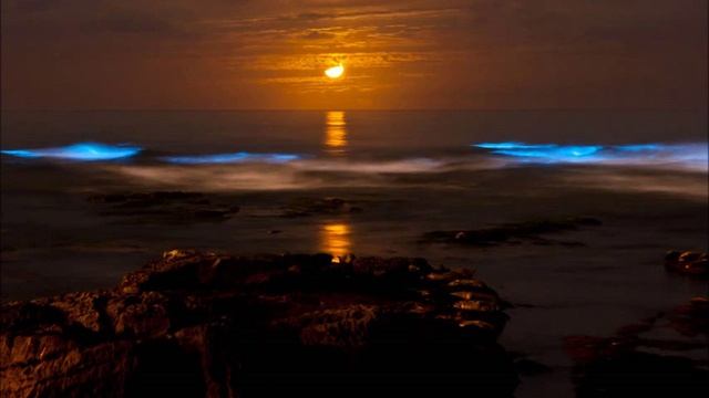 F. Chopin - Nocturne Op.48 No. 1 C Moll ; Ф. Шопен - Нотюрно оп.48. но.1 до минор