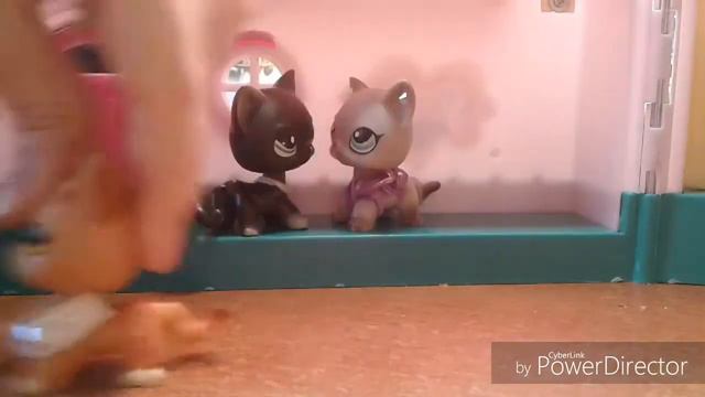 LPS сериал《Тело Красотки , Душа Ботанки》2 серия "ДОМАШКА НЕВЫПОЛНЯШКА" смотреть онлайн