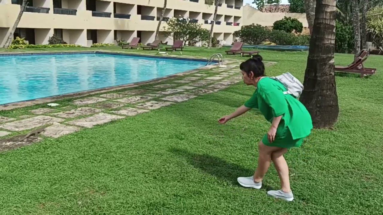 Игуана на территории отеля Koggala Village смотреть онлайн