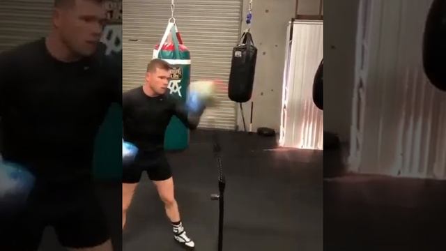 Canelo Alvarez Training Video смотреть онлайн