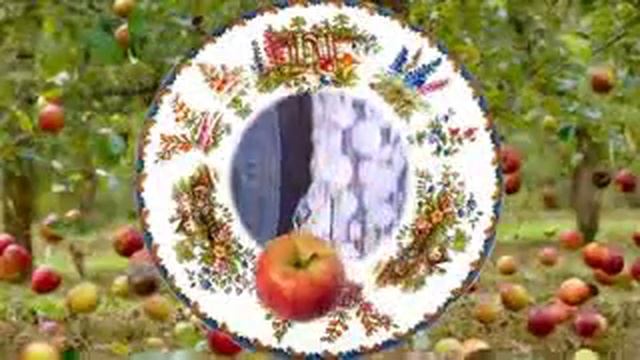 19 августа 2018 г. смотреть онлайн