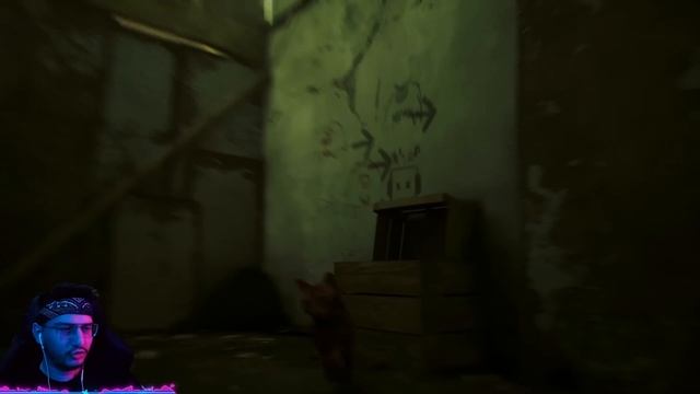 КАК КОТЁНКУ РАСШИФРОВАТЬ ДВОИЧНЫЙ КОД? (Stray) #2 смотреть онлайн