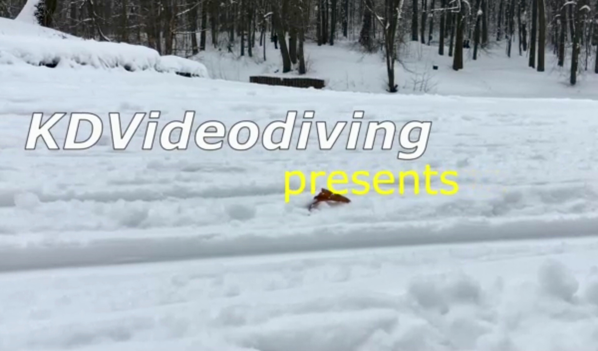 Москва-Пхёнчхан.