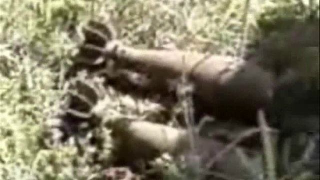 "Я не такой как был вчера" - военно-патриотическая авторская песня Евгения Воробьева, г. Бийск смотреть онлайн