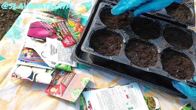 Сею капусту в теплице на рассаду смотреть онлайн