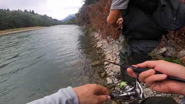 Рыбалка в Карачаево-Черкесии! Ловля форели в горной реке смотреть онлайн