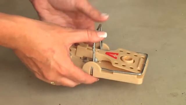 How to catch rats with Victor Power Kill m144 Rat Trap смотреть онлайн