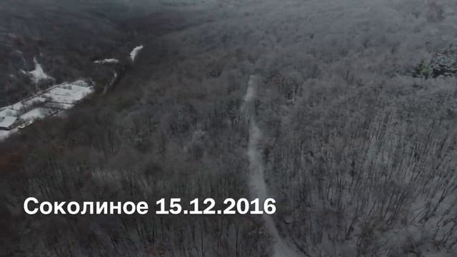 Соколиное 15.12.2016 смотреть онлайн