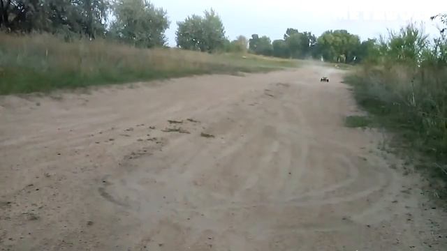 ЕДЕМ, ЕДЕМ В СОСЕДНЕЕ СЕЛО смотреть онлайн
