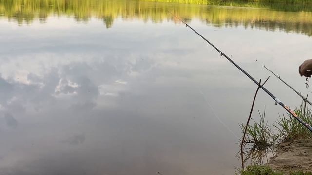 Рыбалка карась и большой ротан смотреть онлайн