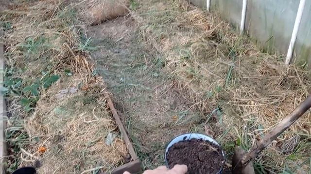ТЕСТИРУЕМ ЗНАМЕНИТОЕ СРЕДСТВО смотреть онлайн