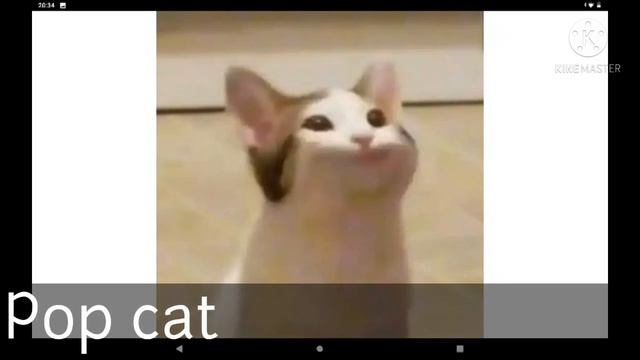 Страны на букву в Pop Cat