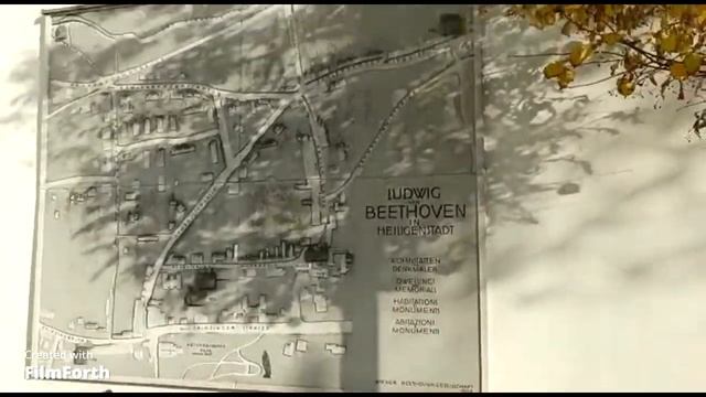 Куда девают продукты питания, которые не были проданы/Where goes the food that was not sold смотреть онлайн