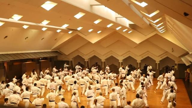 Seminario WSKF Tokio-Japón 13. смотреть онлайн