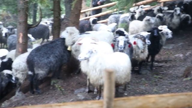 Зникаюча легенда смотреть онлайн