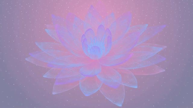 Zen Lotus Relaxing Music