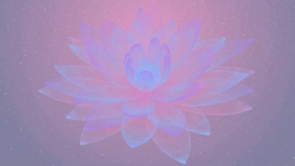 Zen Lotus Relaxing Music