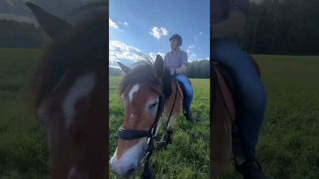 Я летаю .. я в раю !! смотреть онлайн