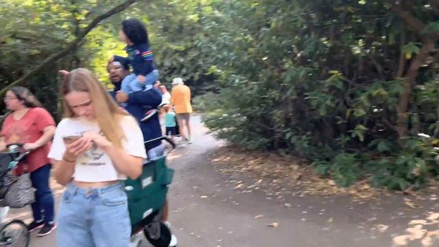 Зоопарк в Сиэтле, США. Woodland Park Zoo смотреть онлайн