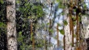 ПОПРОШУ Я У БОГА ПРОЩЕНИЯ