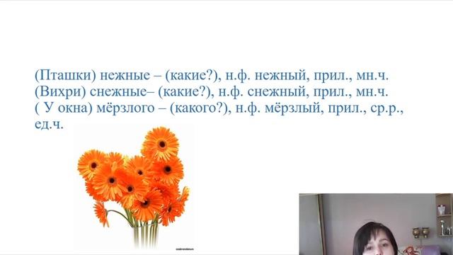 Урок 13: "Разбор имени прилагательного" смотреть онлайн