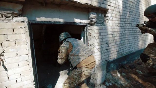 ? Медоеды в деле ? смотреть онлайн