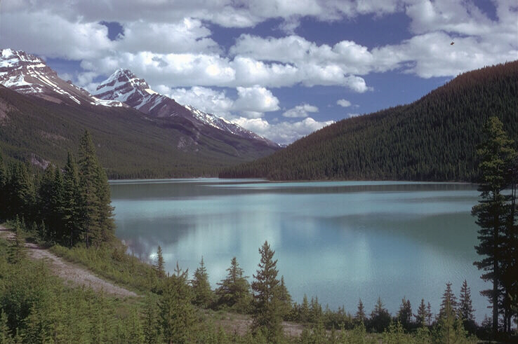 Стокгольмский синдром