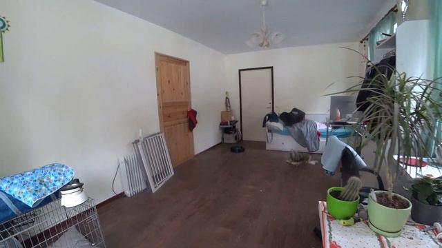 Я очень зла на себя и на Леона смотреть онлайн